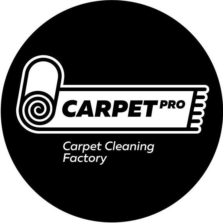 Carpet Pro